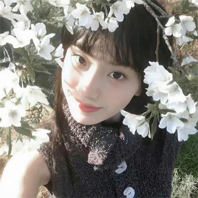 东游之白狐传